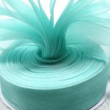 Aqua Green Ribbon