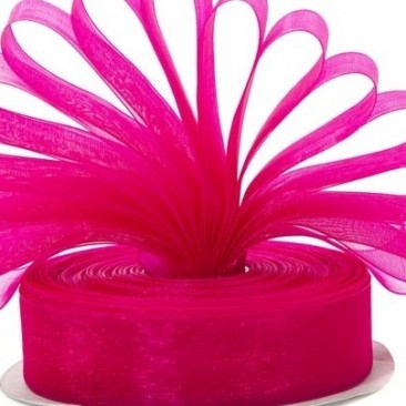 Fuchsia Ribbon