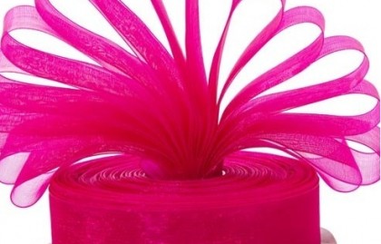 Fuchsia Ribbon