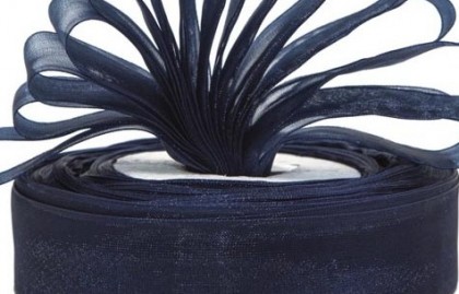 Navy Ribbon